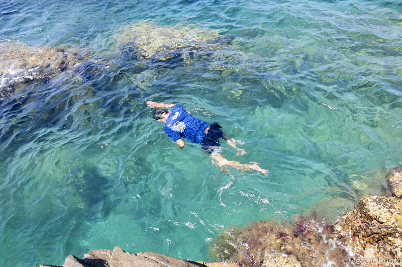 14639929726_e40174dab1_c