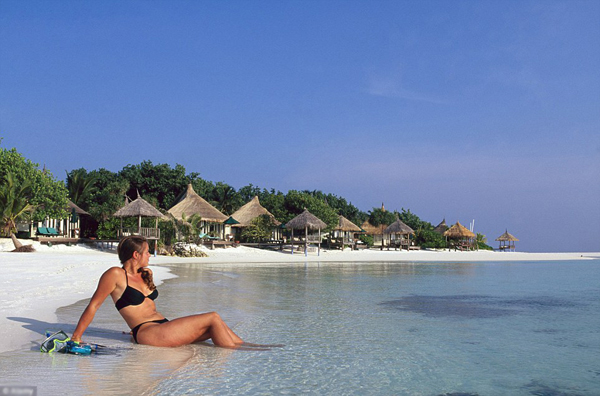 3-4066-1436836059 3-4066-1436836059.jpg