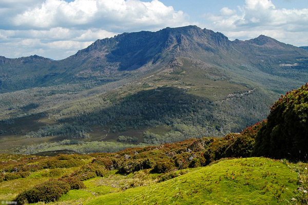 4-1782-1436836059 4-1782-1436836059.jpg