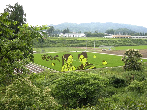 4-4205-1436501763 Để chiêm ngưỡng những tuyệt tác này, hàng trăm du khách có thể đứng trên đài quan sát trên ở phía trên cùng của toà thị chính để tận mắt ngắm nhìn toàn cảnh các cánh đồng lúa bao la, trải dài tít tắp, đập vào mắt du khách là những bức tranh sắc màu với nhiều chủ đề ấn tượng.