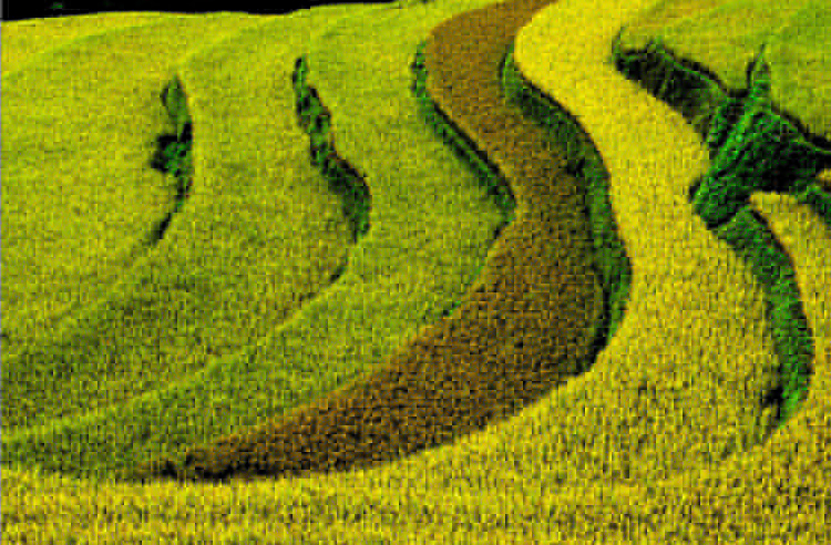 Nậm Sài - "Bức tranh" đa màu sắc của Lào Cai