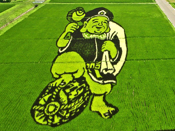 9-4335-1436501764 Để tạo được các tác phẩm nghệ thuật công phu này, chúng phải được thiết kế trước trên máy tính để xác định chính xác vị trí trồng và cách trồng như thế nào. Sau đó, hàng trăm tình nguyện viên tiến hành trồng các giống lúa biến đổi gen nhiều màu sắc như dỏ đen, vàng, trắng và pha trộn với các giống xanh lá cây của địa phương để tạo nên những tác phẩm trông rất phức tạp nhưng rất cuốn hút.