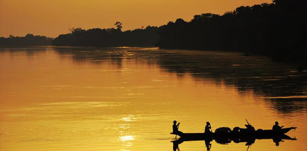 congo-6497-1436148803 Congo-6497-1436148803.jpg